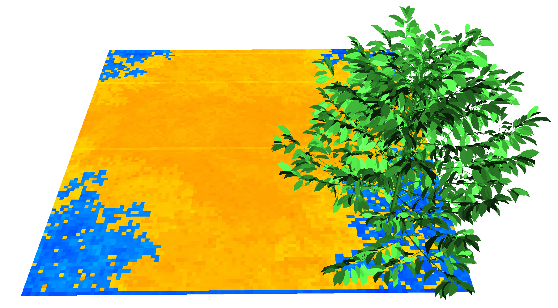 A coffee tree in a toric 3x3m scene. The soil is colored by Ra_PAR_f, the absorbed PAR in W m_{component}^{-2}.